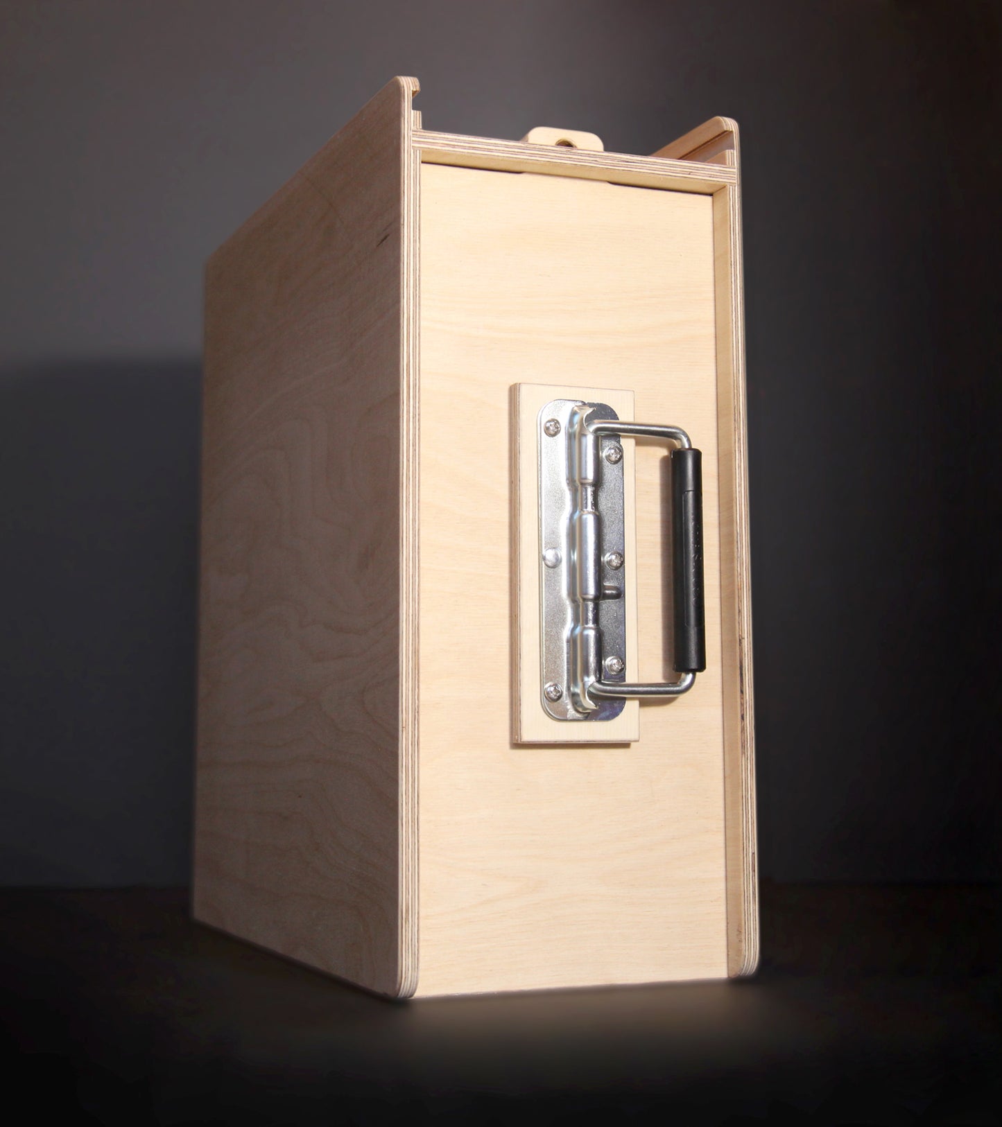 Large 12 Inch Gig Box