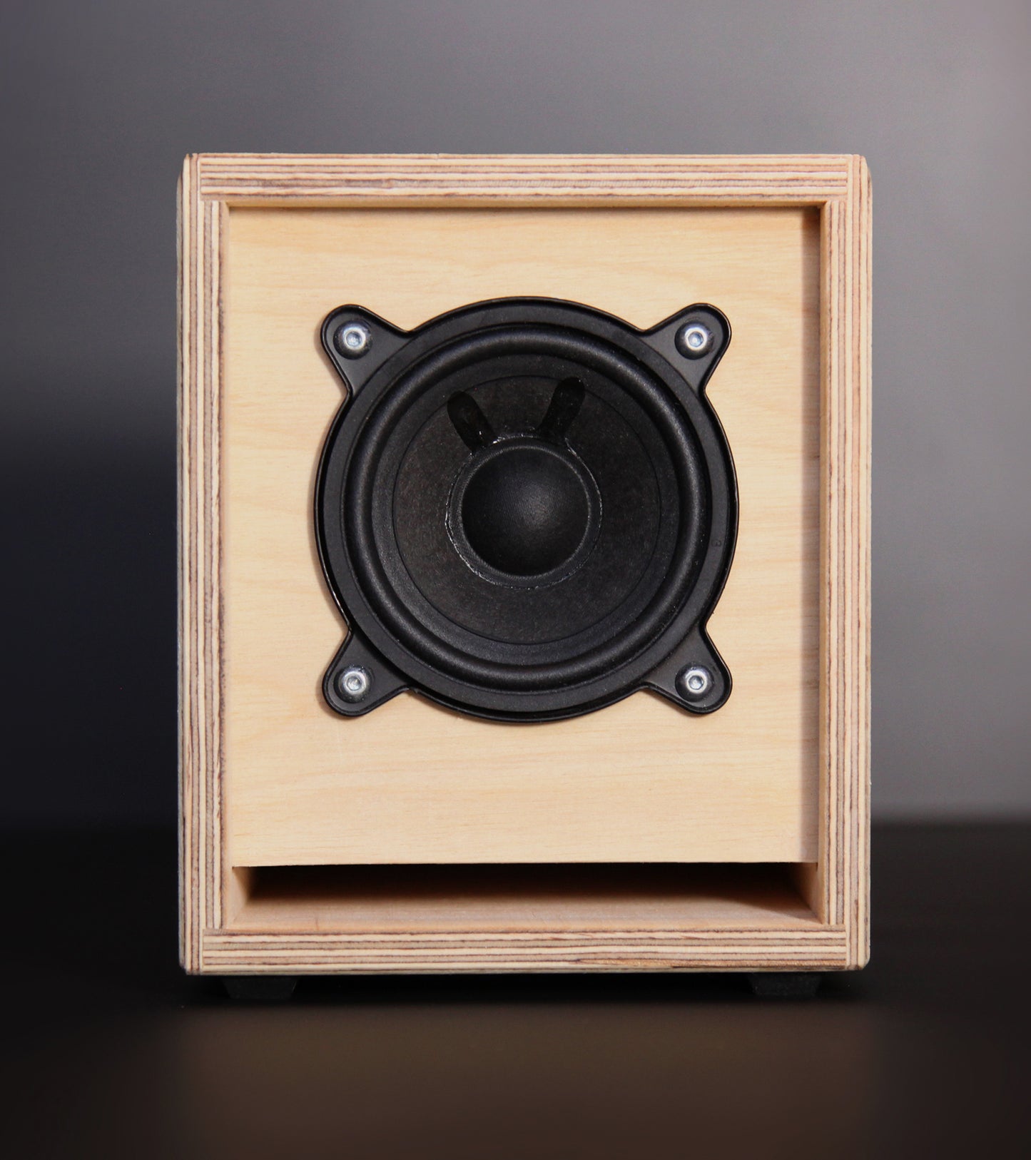 Tiny Dub – Portable Bluetooth Speaker